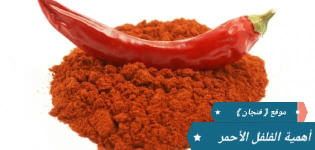الفلفل الأحمر | وفوائده الرهيبة للجسم