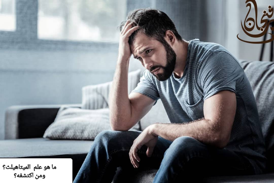 علم الميتاهلث