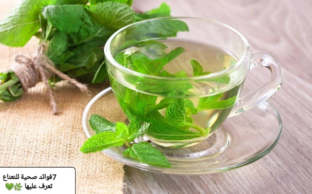 فوائد النعناع الصحية