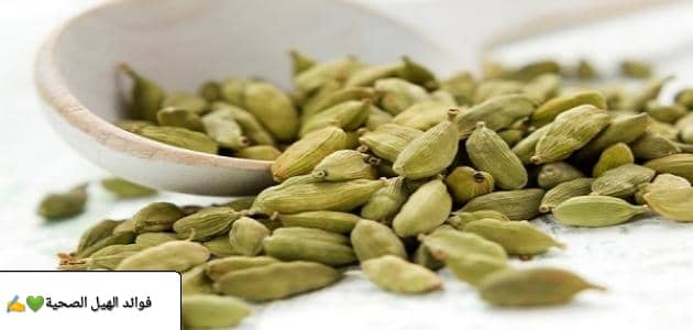 فوائد الهيل الصحية