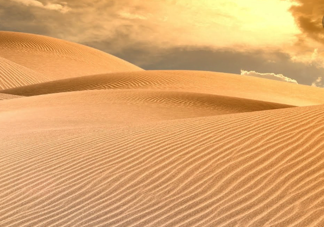 البيئة الصحراوية وخصائصها
