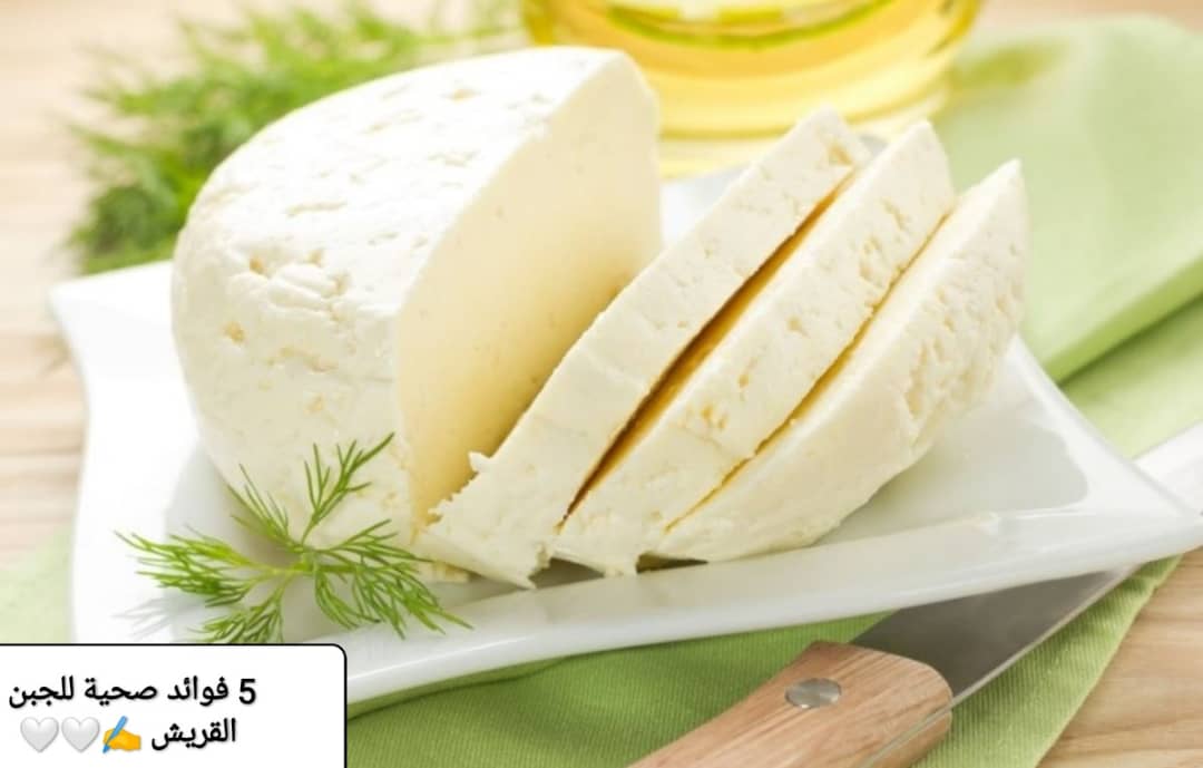 5 فوائد صحيّة لجبن القريش