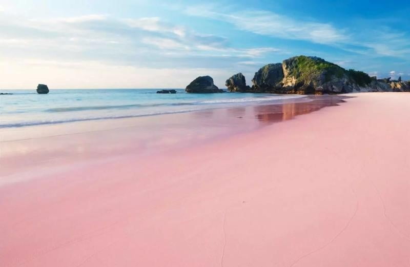 شاطئ الرمال الوردية في جزر البهاما