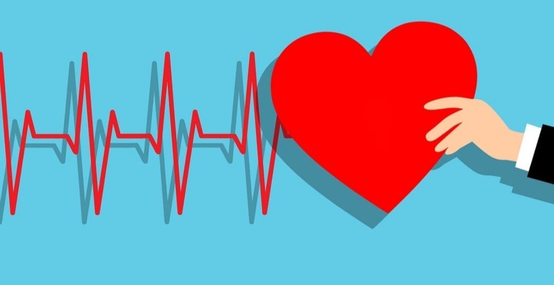 دقات القلب حسب العمر الطبيعي معدل معدل دقات