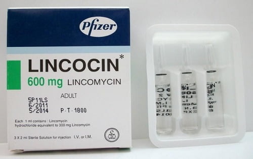 المضادات الحيوية لينكومايسين Lincomycin
