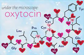 هرمون الحب الأوكسيتوسين Oxytocin