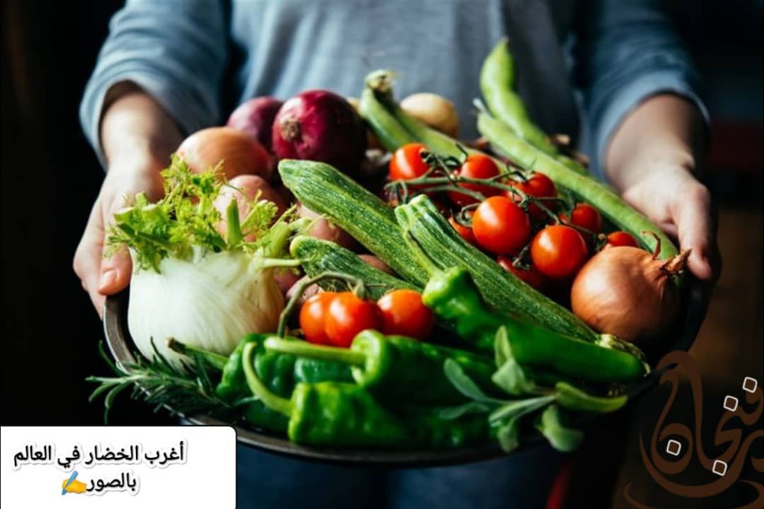 أغرب الخضار في العالم بالصور