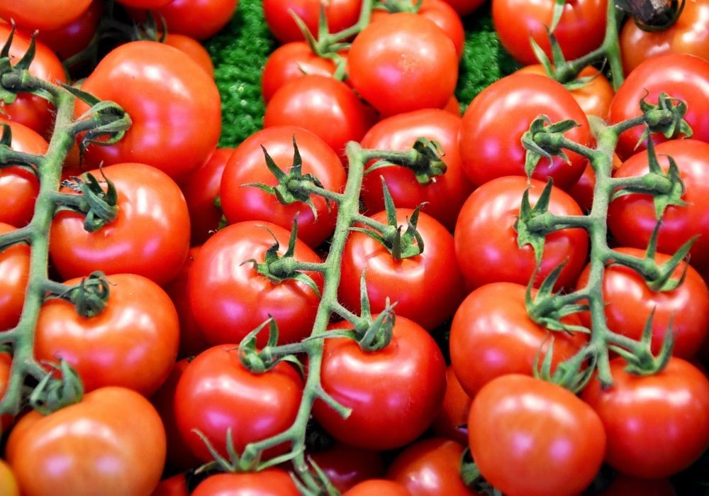 فوائد الطماطم تعرف على القيمة الغذائية والفوائد الصحية