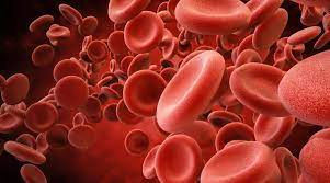 ما هو تحليل كريات الدم الحمراء RBC
