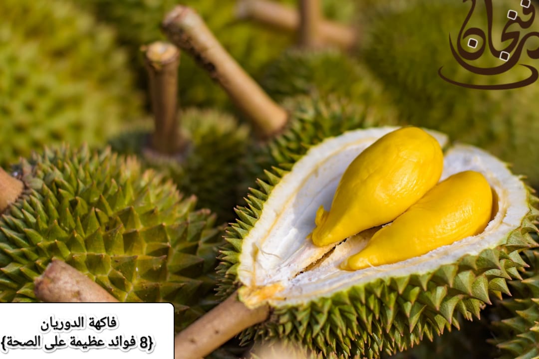 فاكهة الدوريان