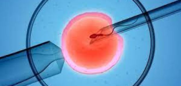 الطرق الطبية لتحديد جنس الجنين