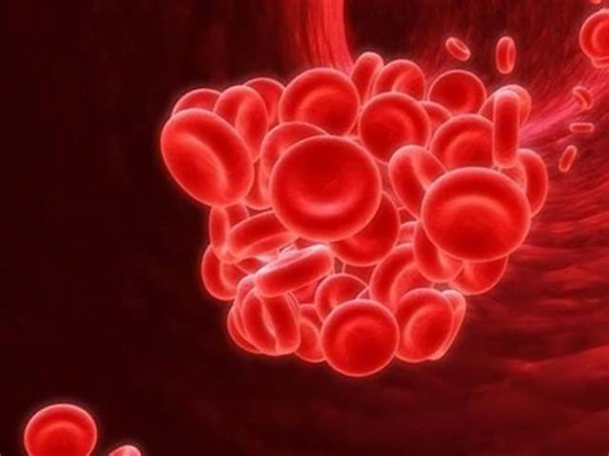 ما هو علاج زيادة الدم؟