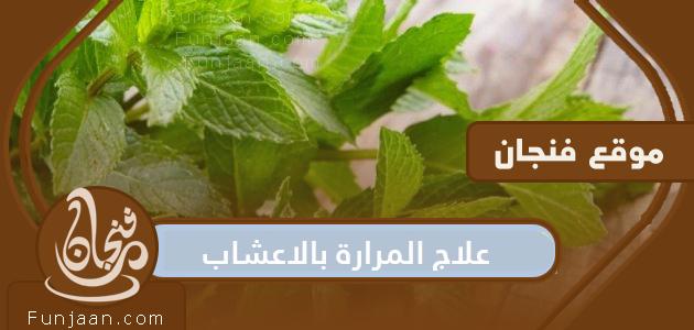 علاج المرارة بالأعشاب والآثار الجانبية للأعشاب المستخدمة في علاج التهاب المرارة