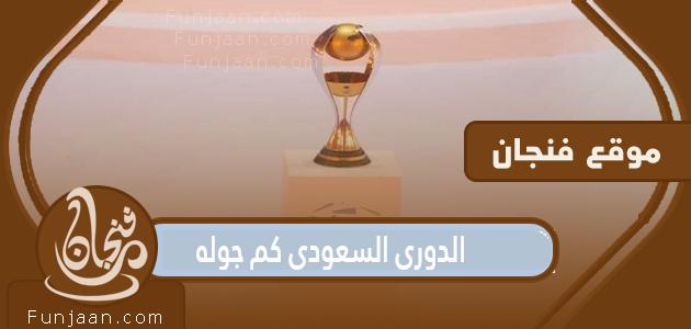 الدوري السعودي كم عدد جولات