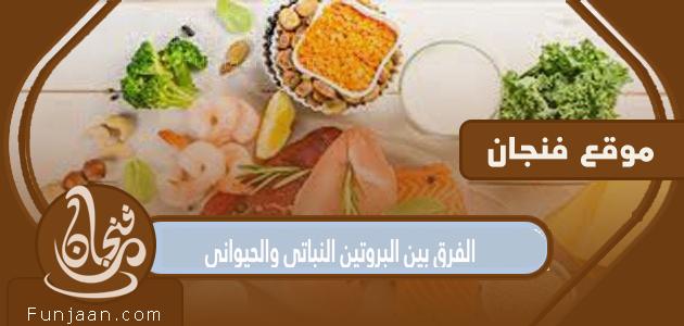 تعرف على الفرق بين البروتين النباتي والحيواني بالتفصيل