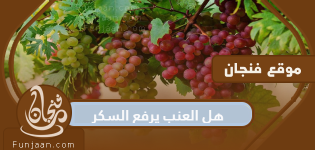 هل العنب يرفع السكر؟  أم أنه يقي من مرض السكري؟