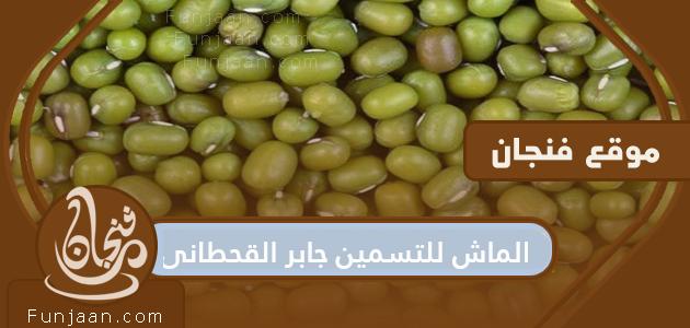 Al-Mash for fattening, Jaber Al-Qahtani, its benefits, nutritional components and possible side effects
