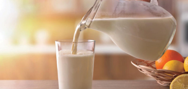 أسئلة عن حليب النيدو information about el nido milk 