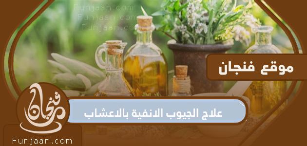 علاج الجيوب الأنفية بالأعشاب .. 6 أعشاب لعلاج الجهاز التنفسي في المنزل

