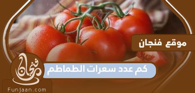 كم عدد السعرات الحرارية في الطماطم وهل تكتسب الوزن

