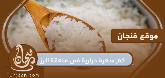 كم عدد السعرات الحرارية في ملعقة الأرز .. فوائد الأرز للجسم