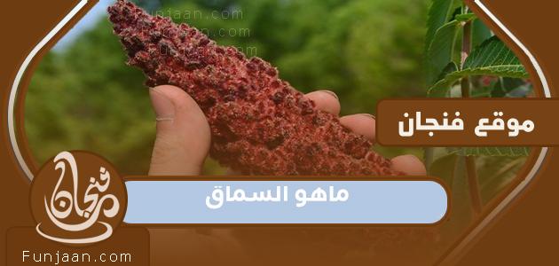 ما هو السماق وما هي فوائده المتعددة؟

