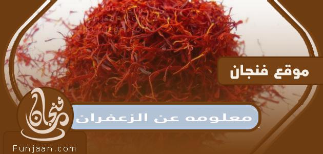 معلومات عن الزعفران